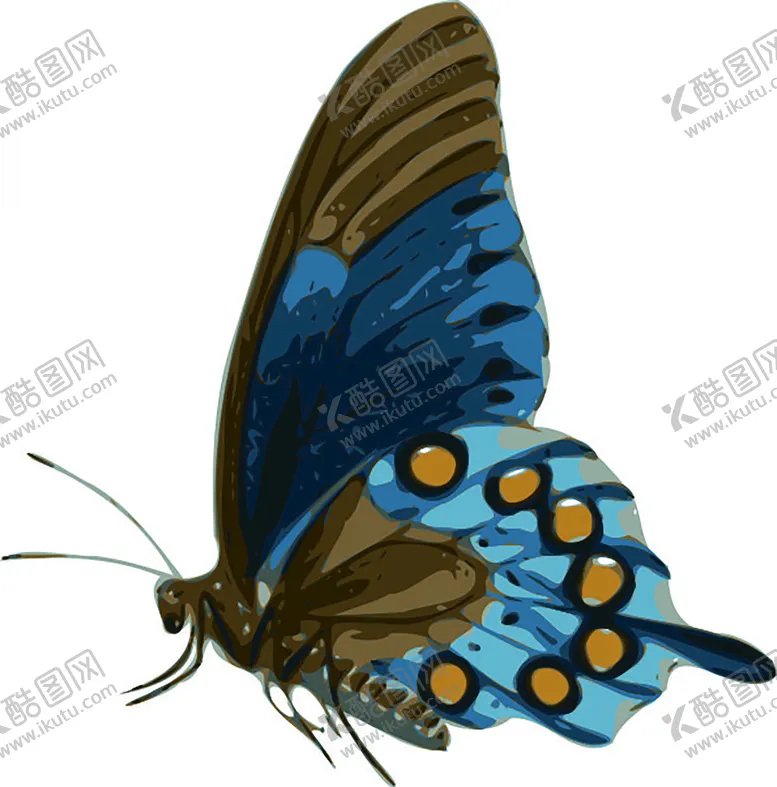 编号：95118801260347152655【酷图网】源文件下载-蝴蝶