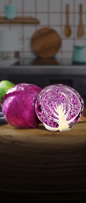 紫甘蓝紫包菜
