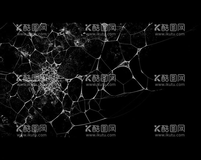 编号：72533911250334594189【酷图网】源文件下载-蜘蛛网