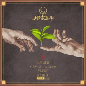 携手呵护新生绿植