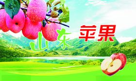 苹果