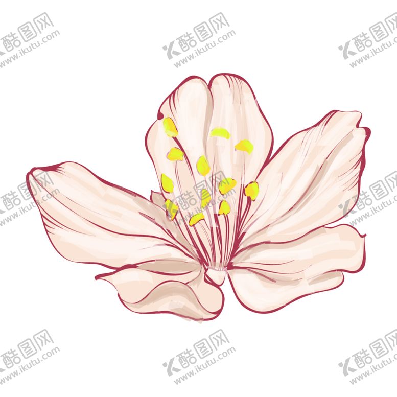 编号：31599410311014569865【酷图网】源文件下载-玫瑰花装饰素材