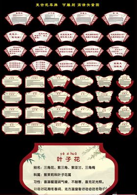 多样精美标签设计展示