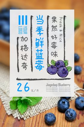 蓝莓海报
