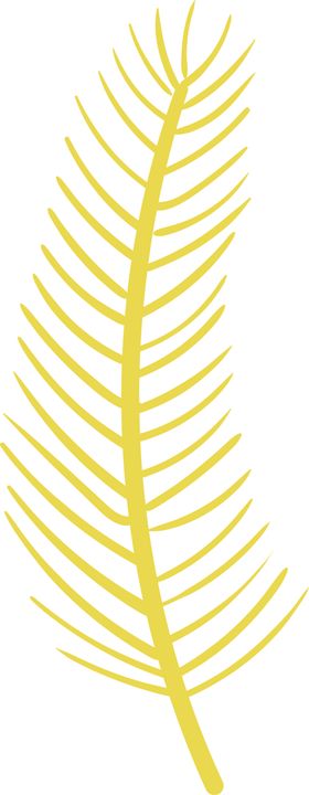 彩绘植物花枝