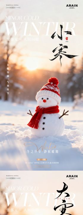 地产小寒大寒冬天风景海报