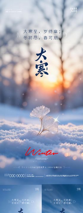 地产大寒节气海报