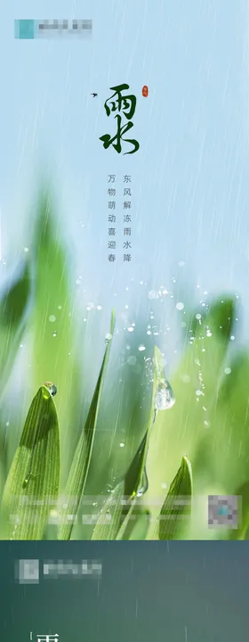 雨水节气稿