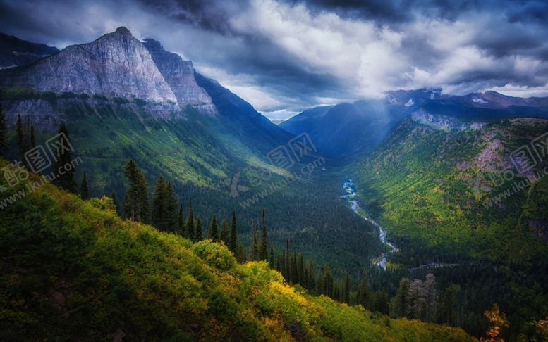 编号：95426809190550351857【酷图网】源文件下载-森林