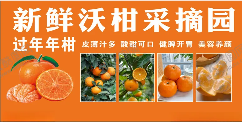 编号：15456502271718425994【酷图网】源文件下载-沃柑