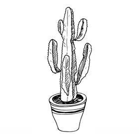 植物线稿