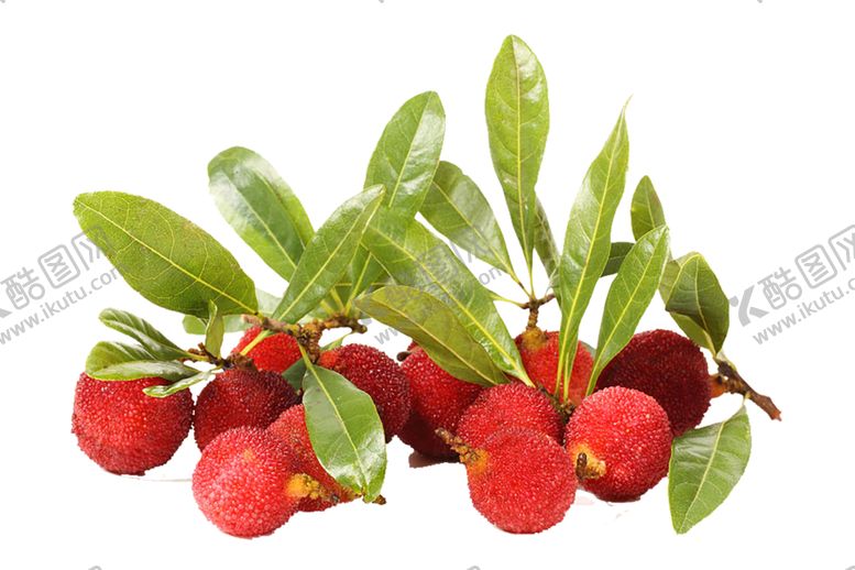 编号：84135810081238058646【酷图网】源文件下载-水果