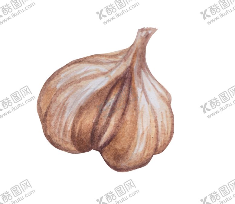 编号：64969510121524029850【酷图网】源文件下载-大蒜