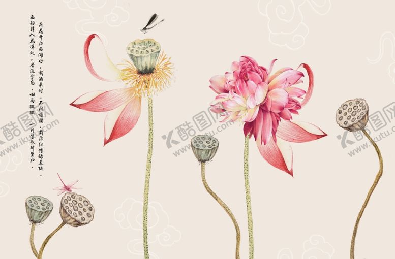 编号：18297210141242144681【酷图网】源文件下载-工笔花鸟背景墙装饰画