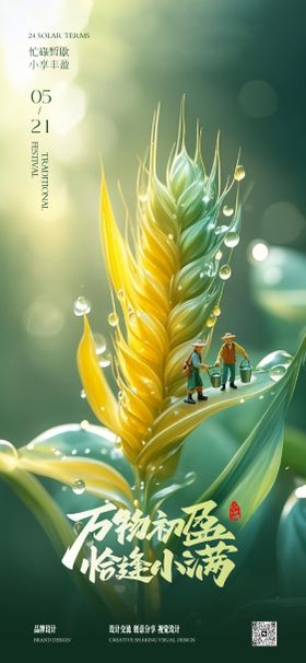 小满芒种节气稿