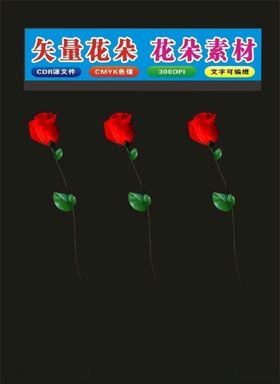 花朵花瓶和花