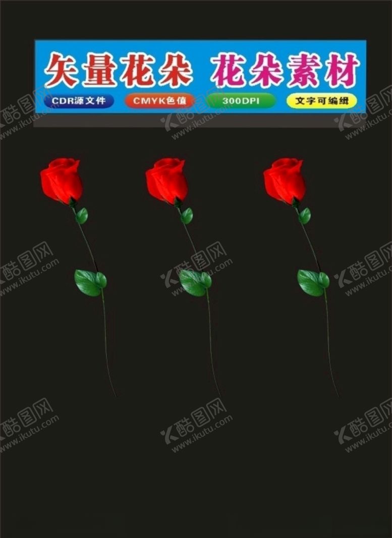 编号：26879210172202508686【酷图网】源文件下载-花朵花瓶和花