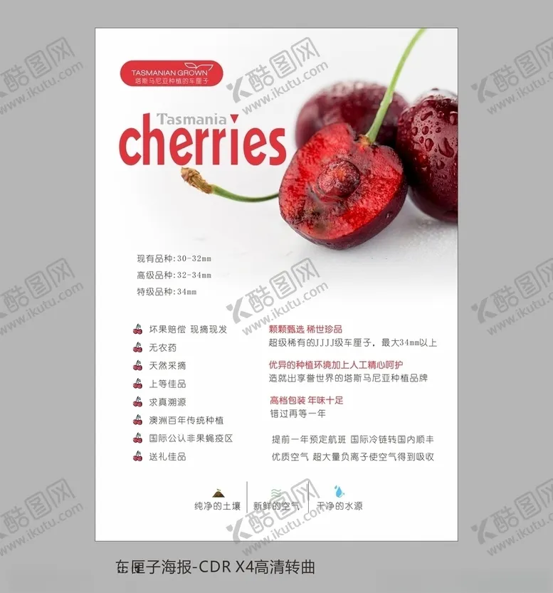 编号：64108204151540364699【酷图网】源文件下载-高清车厘子海报