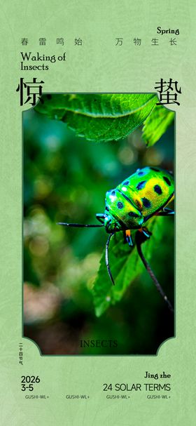 新中式二十四节气惊蛰春季海报