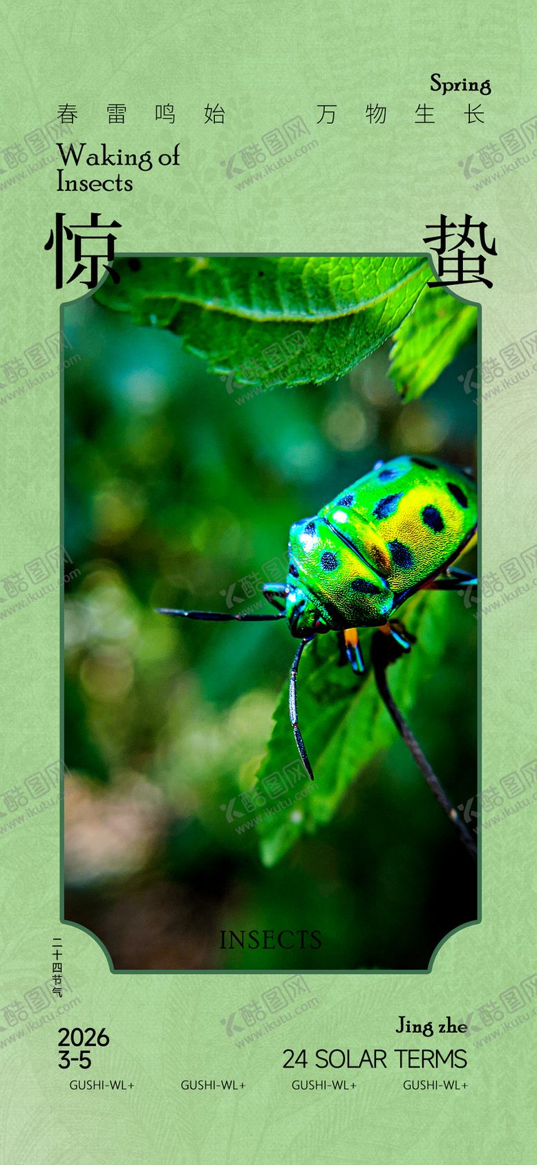 编号：36293302260221449723【酷图网】源文件下载-新中式二十四节气惊蛰春季海报