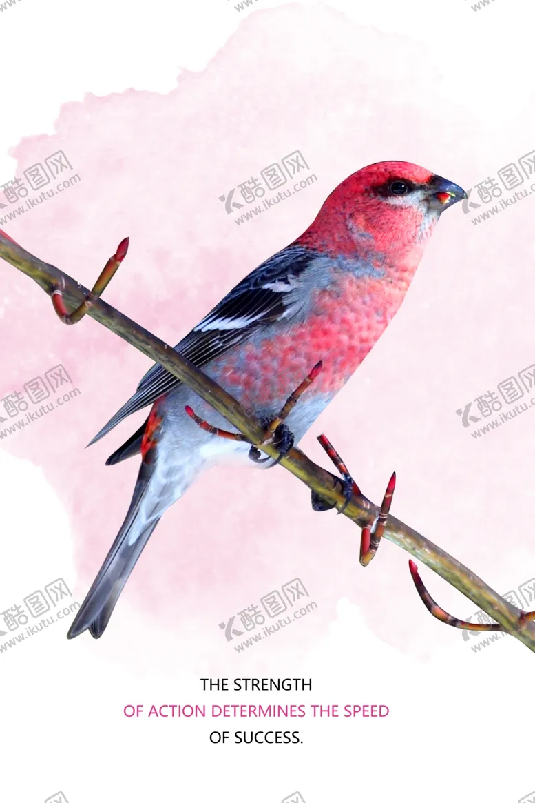 编号：93933304172328039249【酷图网】源文件下载-装饰画