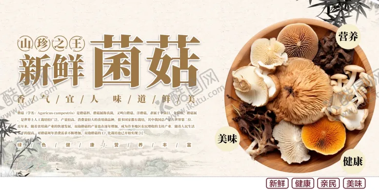 编号：55626510162219207312【酷图网】源文件下载-新鲜菌菇