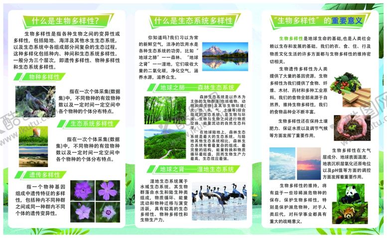 编号：18162102041629325899【酷图网】源文件下载-生物多样性三折页