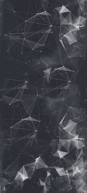 面罩
