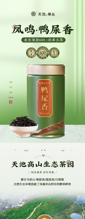 茶叶详情页