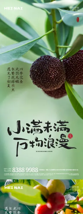二十四节气小满意境海报
