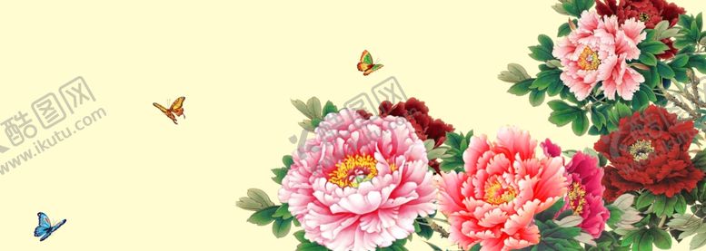 编号：99921907030920022915【酷图网】源文件下载-牡丹花