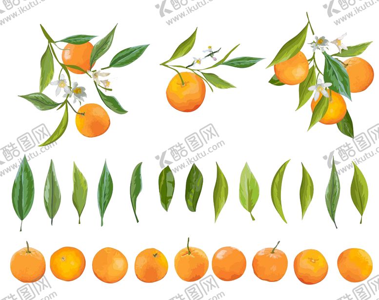 编号：46379909180011468828【酷图网】源文件下载-柠檬水果