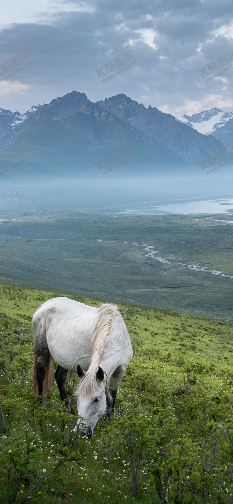 编号：51236409240518467182【酷图网】源文件下载-手机壁纸