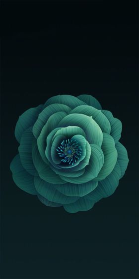 花朵背景