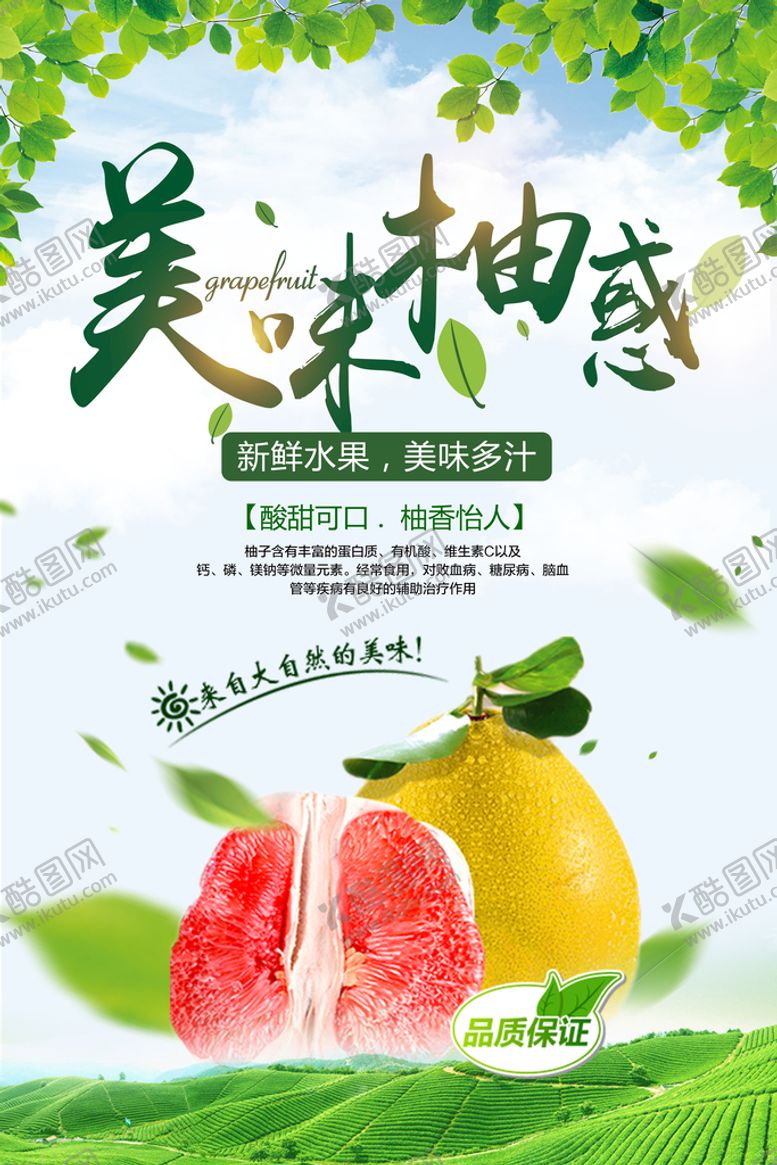 编号：43685709201703235109【酷图网】源文件下载-柚子