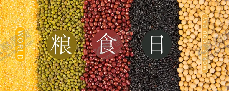 编号：59400406280305113102【酷图网】源文件下载-五谷杂粮海报谷物豆豆素材