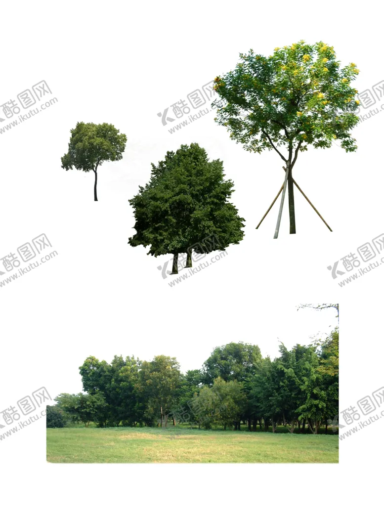 编号：37028404212008369152【酷图网】源文件下载-绿植