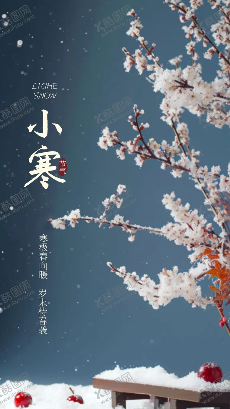 编号：88624612071530533374【酷图网】源文件下载-大寒小寒系列海报