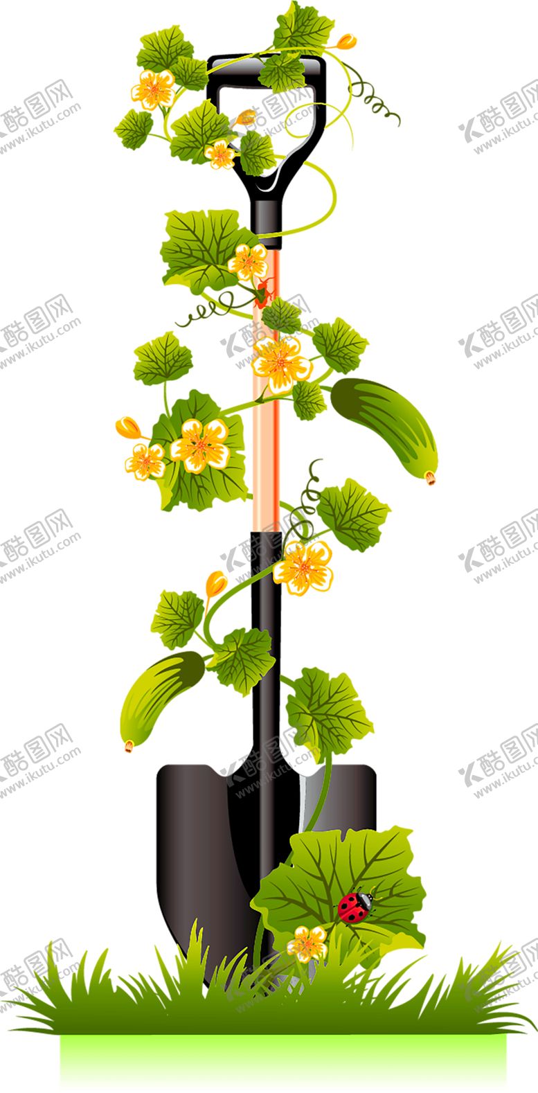 编号：91188309180954398285【酷图网】源文件下载-鲜花装饰