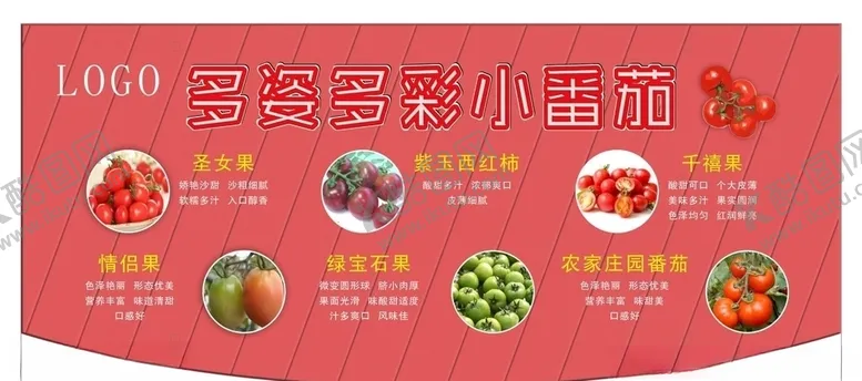 编号：81406305012336499181【酷图网】源文件下载-小番茄简介展板