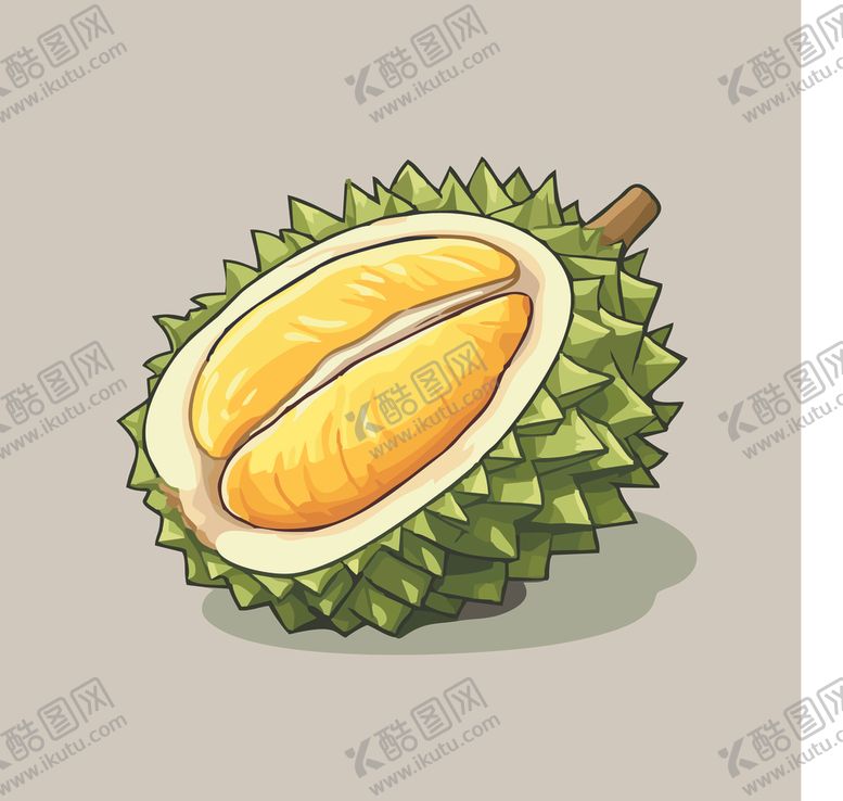 编号：32890202040304393889【酷图网】源文件下载-榴莲热带水果手绘矢量插画