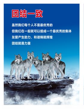 企业文化