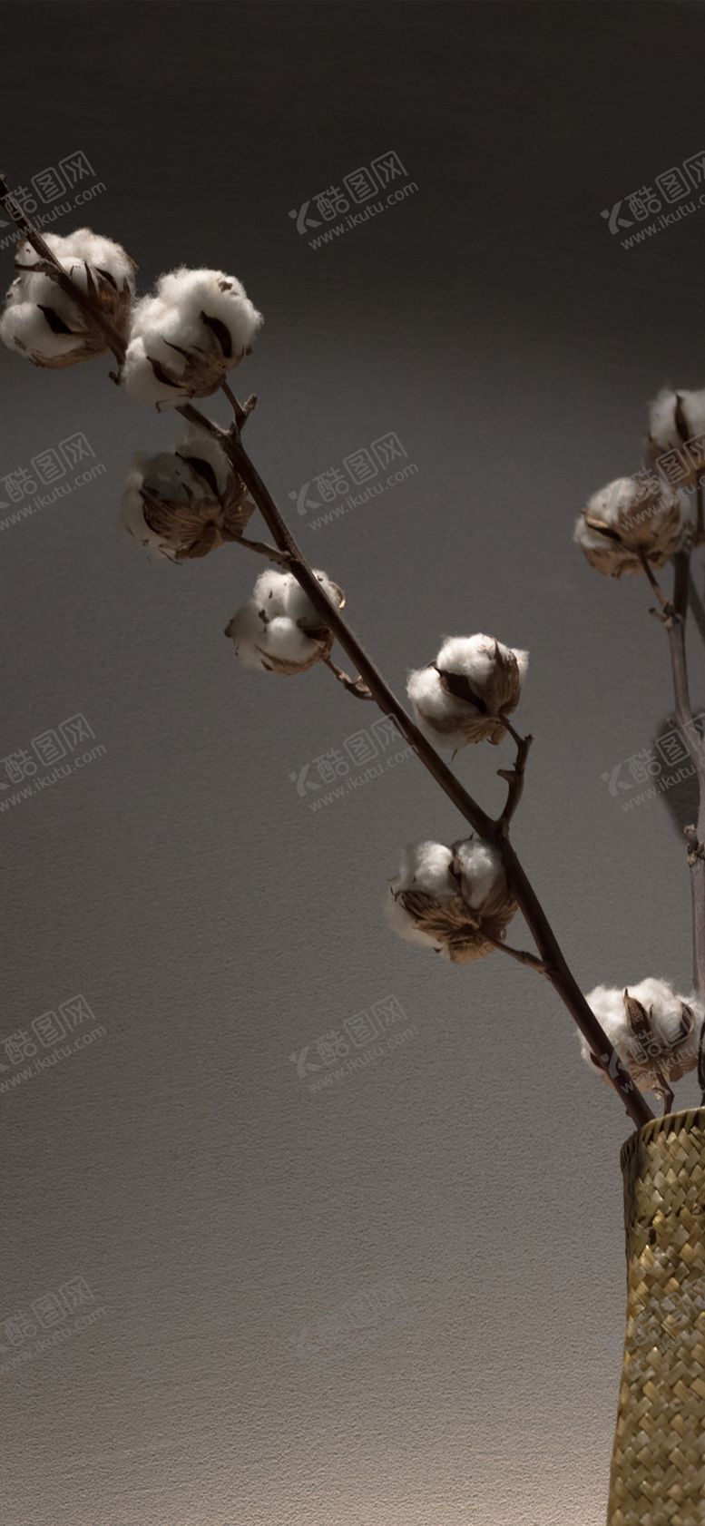 编号：24023310141439109127【酷图网】源文件下载-手机壁纸