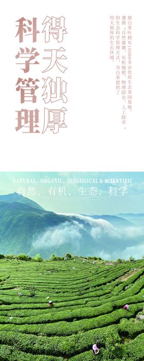 鼎白科学管理