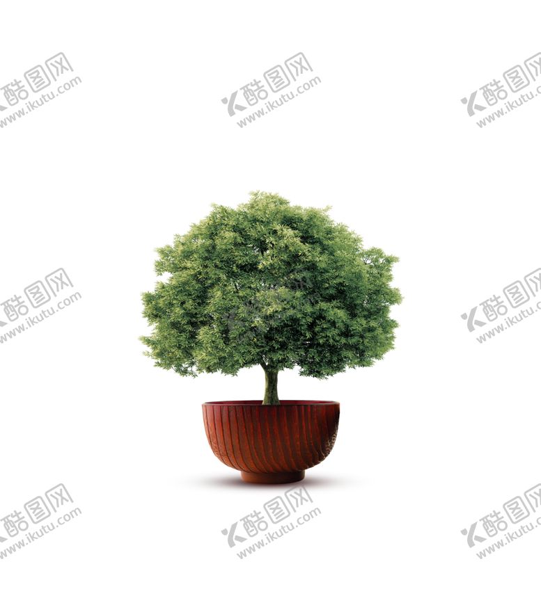 编号：57299707040103226286【酷图网】源文件下载-盆栽艺术