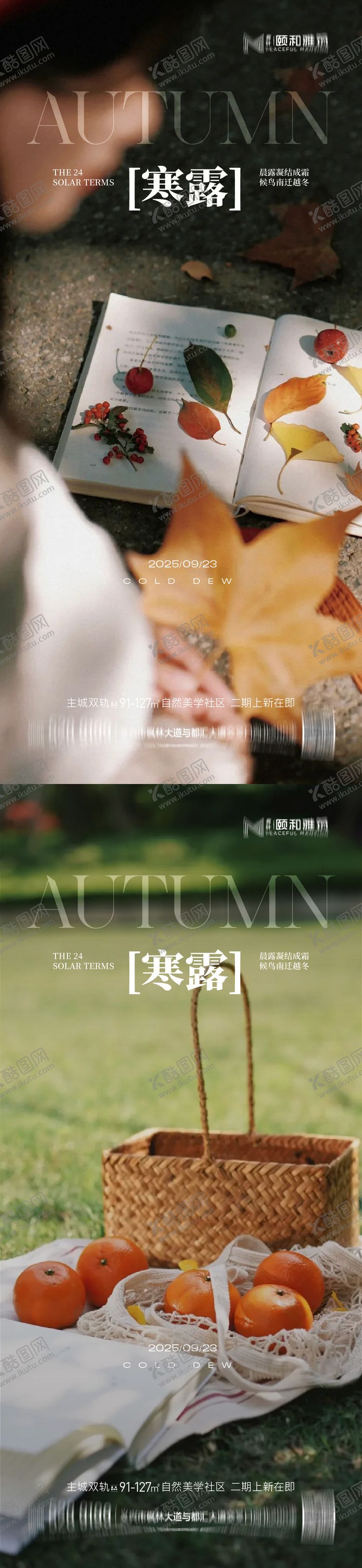 编号：78630710072251525965【酷图网】源文件下载-寒露节日节气海报