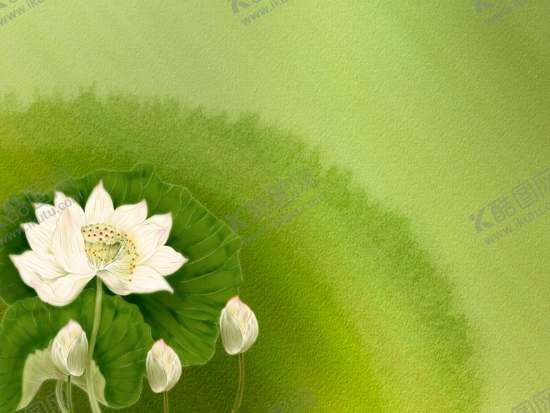 编号：52617810022245461658【酷图网】源文件下载-荷花荷叶