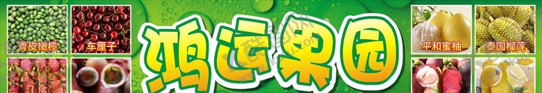 编号：29888706160205335592【酷图网】源文件下载-水果店