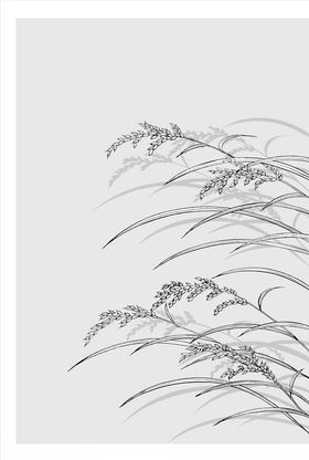 线描稻穗