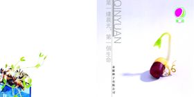 简约种子发芽创意文案封面